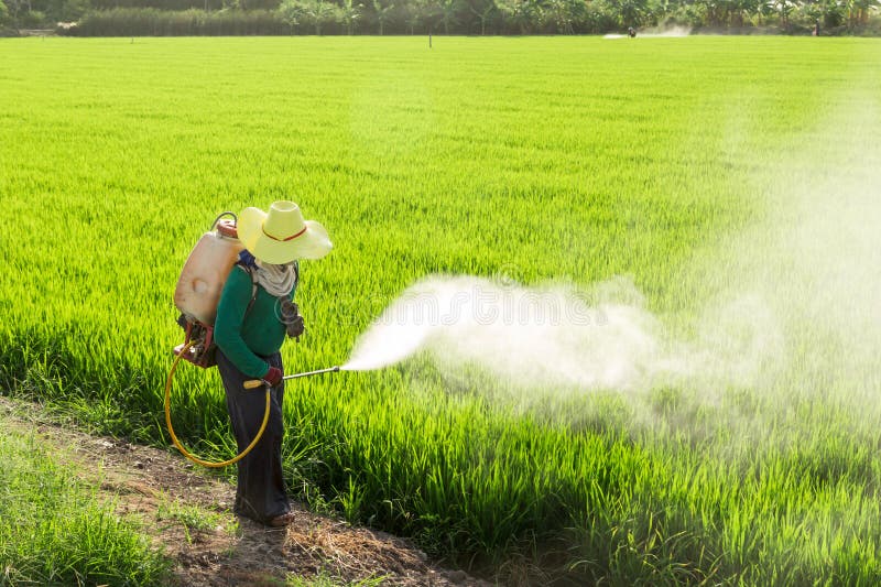 Farmers spraying pesticides