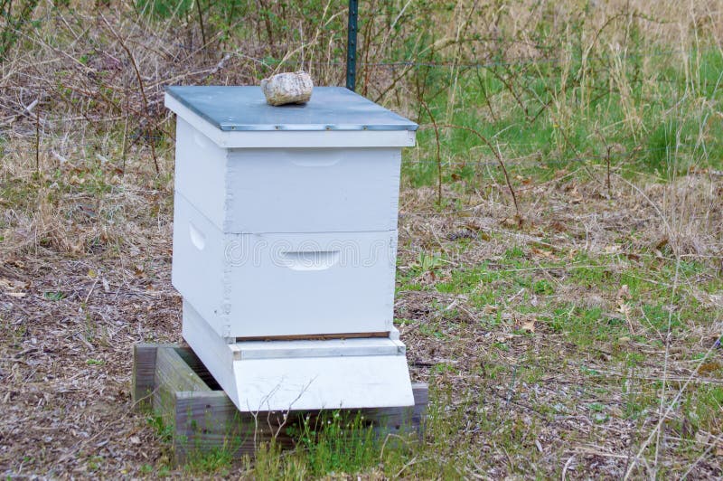 Farmerâ€™s bees hive next to an apple and peach orchard. Farmerâ€™s bees hive next to an apple and peach orchard.