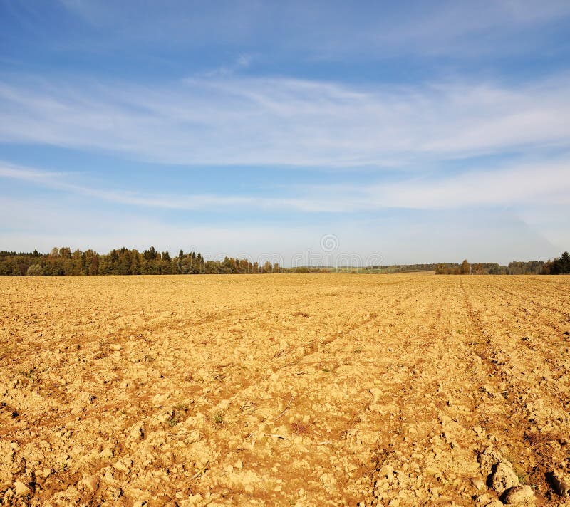 Farmfield in autumn stock image. Image of sunny, wood 17939129