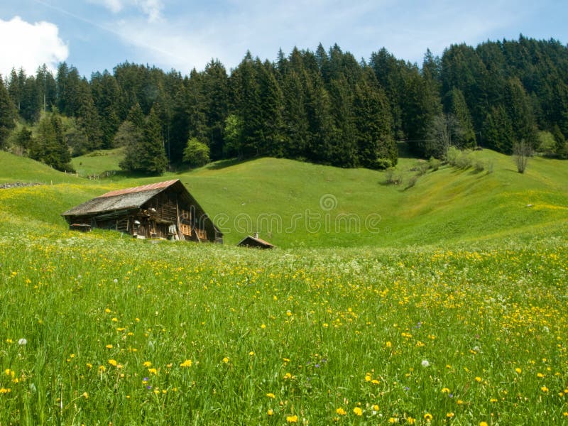 Farmhouse in alpine hills stock image. Image of lifestyle 5868543