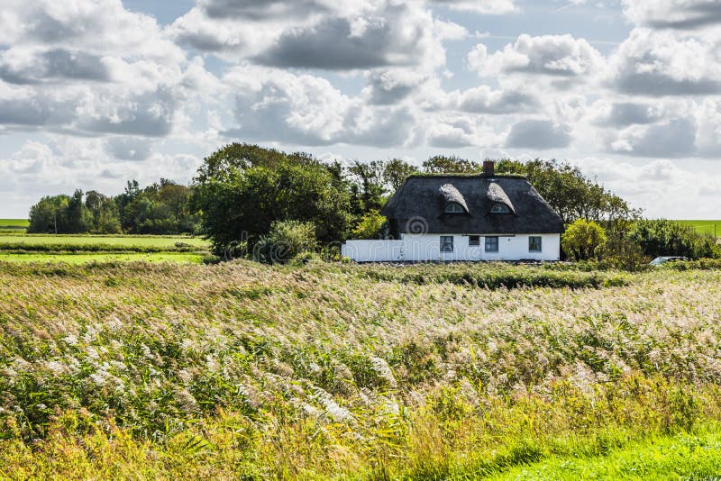 Farmhouse in Green Rural Landscape, Nordstrand, North Frisia, Germany