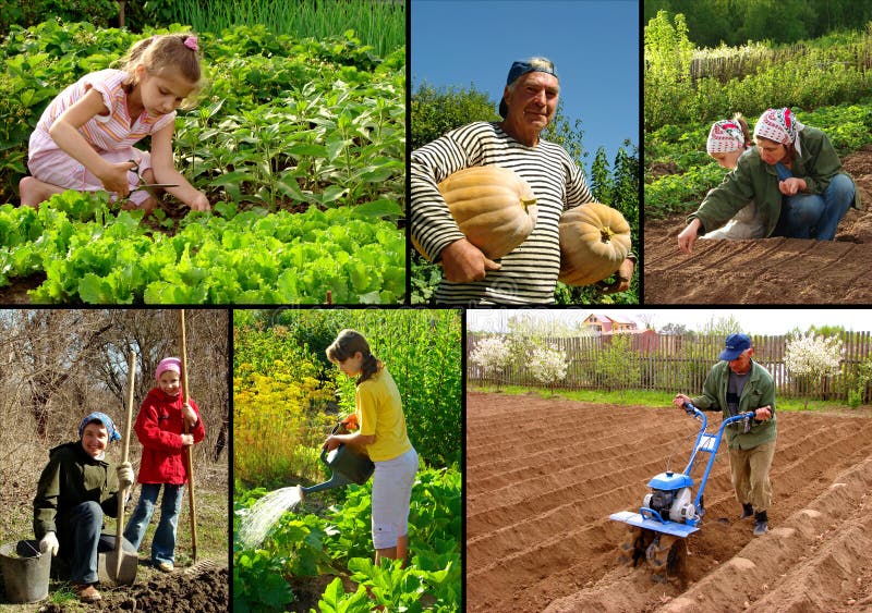 Farming collage