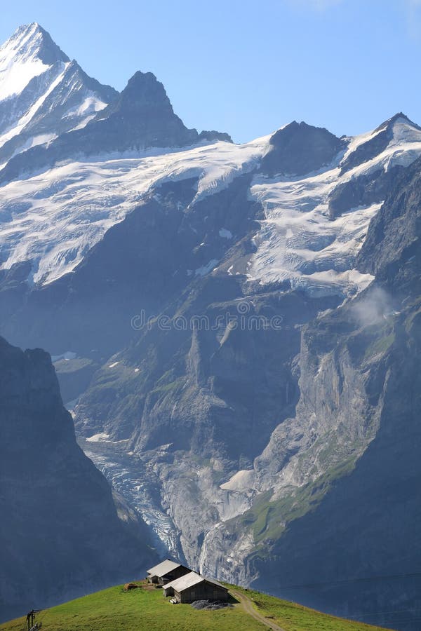 En verde prados de montana de el primero, menor cima abajo en Bernés Alpes en.