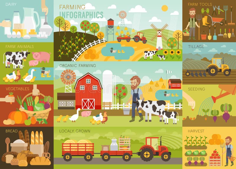 Farming Infographic set with animals, equipment and other objects. royalty free illustration
