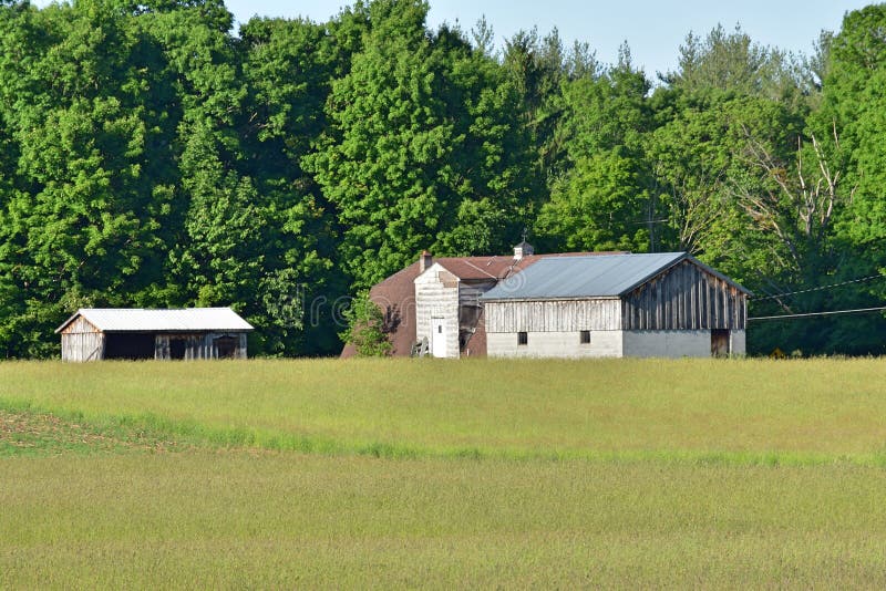 Farming Land Buildings Plains and Trees Stock Photo Image of outdoors