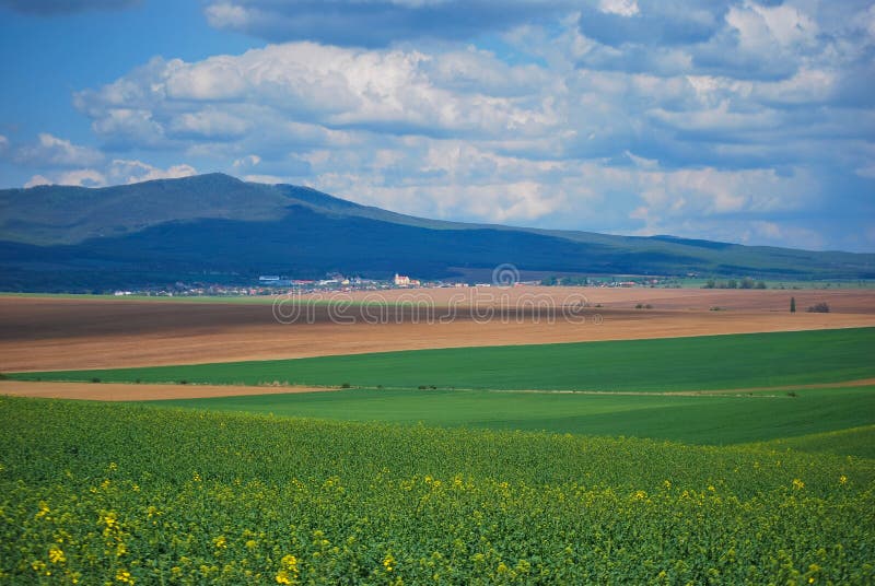 Poľnohospodárska krajina