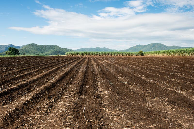 Farming Rows seeds plalnted royalty free stock photography
