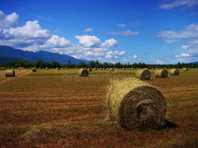 Farm in Berks County Pennsylvania Stock Image Image of farmland, dairy 10995705