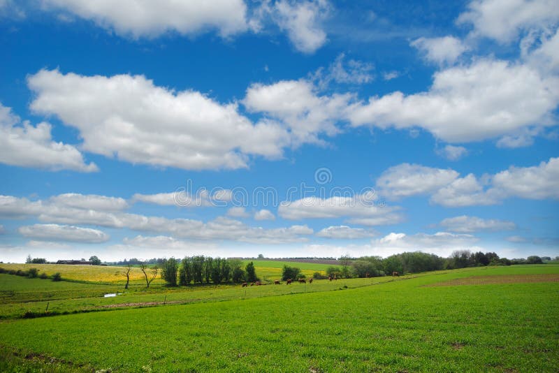 Farmland and clouds