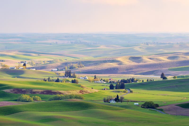 Farmland in Palouse Washington Stock Photo Image of farmland, spring