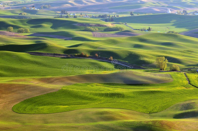 Farmland in Palouse Washington Stock Photo Image of farms, patchwork