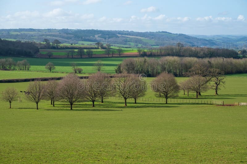 An east Devon agricultural landscape at the onset of the Spring season in UK. An east Devon agricultural landscape at the onset of the Spring season in UK