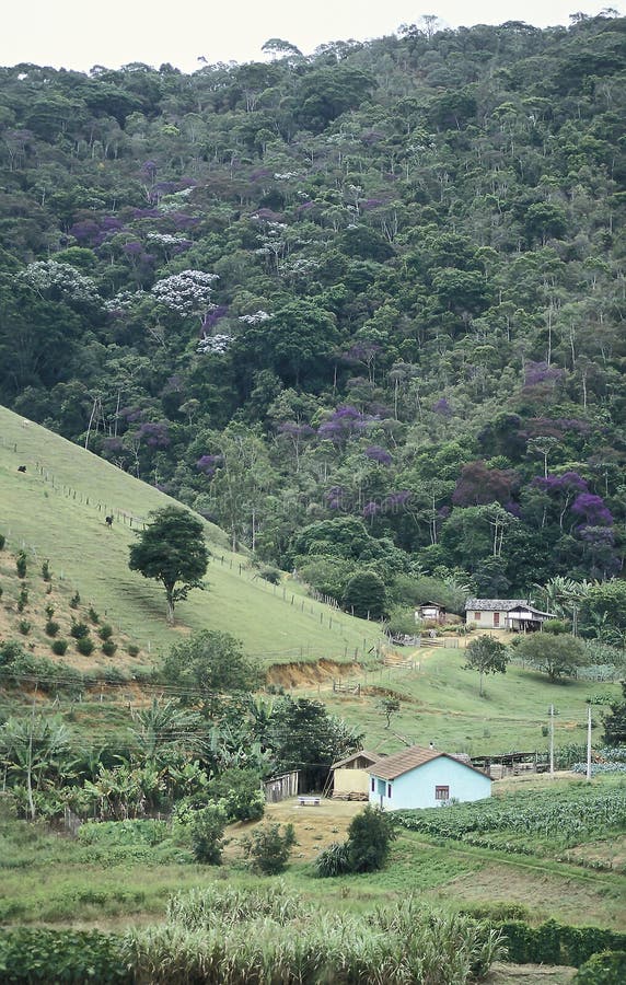 Farms and deforestation in southern Brazil. royalty free stock photos Farms and deforestation in southern Brazil. royalty free stock photos