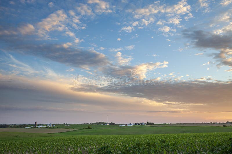 Farms and fields of young corn in Iowa below a beautiful sunset during spring stock photos