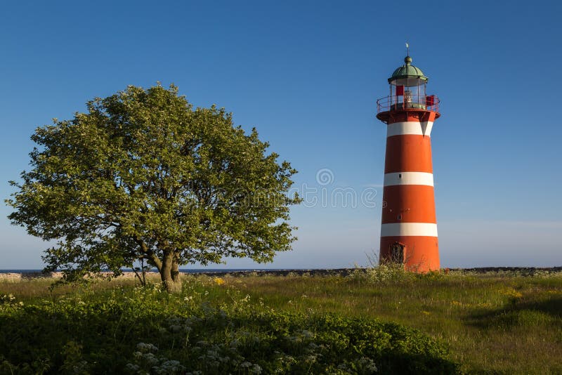 Faro de Närsholmen con el árbol debajo de un cielo despejado en luz del sol de la última hora de la tarde, Gotland, Suecia imagen de archivo Faro de Närsholmen con el árbol debajo de un cielo despejado en luz del sol de la última hora de la tarde, Gotland, Suecia imagen de archivo