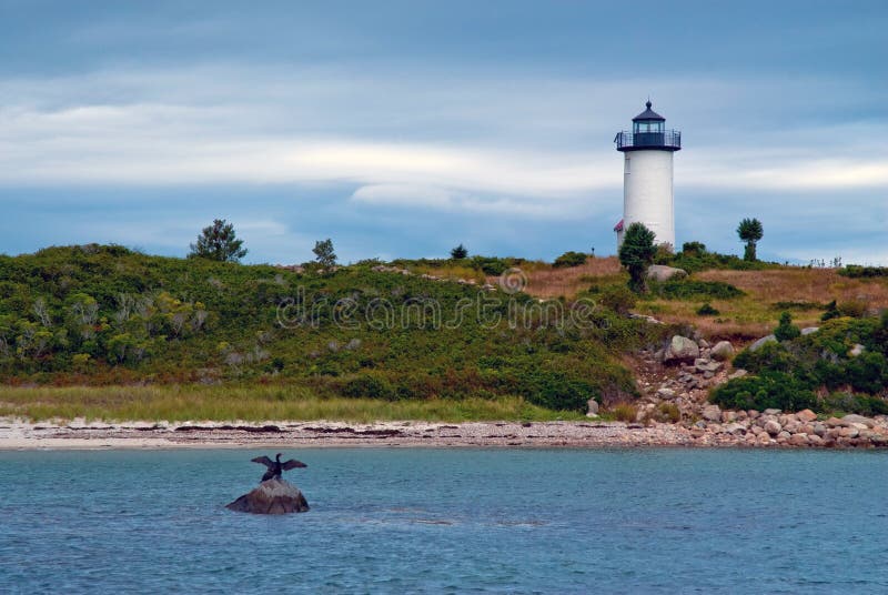 Cormorants dry their wings in front of Tarpaulin Cove lighthouse in Massachusetts. Cormorants dry their wings in front of Tarpaulin Cove lighthouse in Massachusetts.