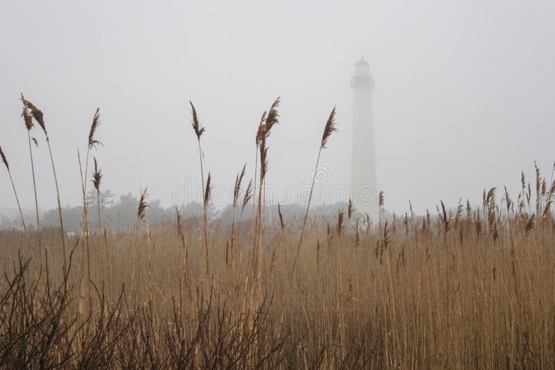 A view of the historic Cape May Lighthouse through a salt marsh on a foggy winter day. A view of the historic Cape May Lighthouse through a salt marsh on a foggy winter day.