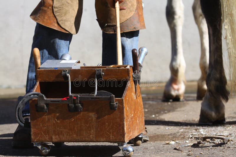 7,646 Farrier Stock Photos Free & RoyaltyFree Stock Photos from