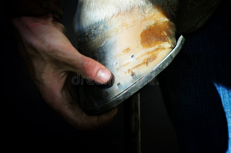 Farrier держит копыто ноги лошади стоковое фото Farrier держит копыто ноги лошади стоковое фото