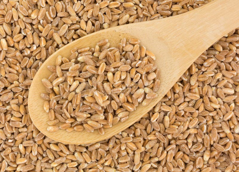 Grano De Farro Que Es Alistado Para Una Ensalada Del Verano Imagen de