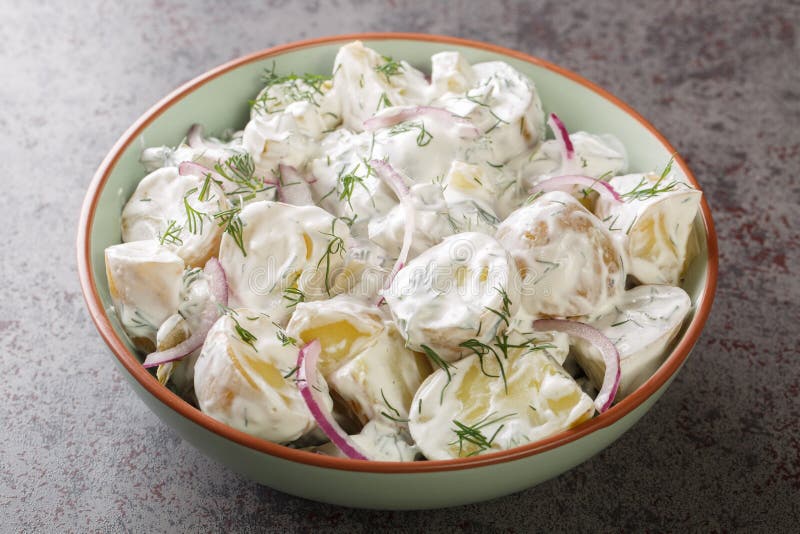 Farskpotatissalad es ensalada de patata sueca simplemente hecha con nuevas patatas crema de cebolla roja fraiche y eneldo recién p. Farskpotatissalad es ensalada de patata sueca simplemente hecha con nuevas patatas crema de cebolla roja fraiche y encolado de eneldo recién picado en un plato sobre la mesa. horizontal