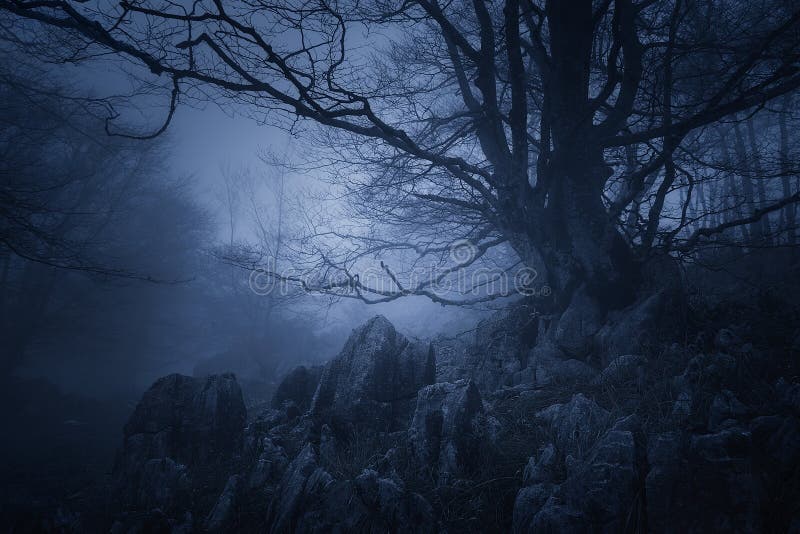 Fasalandskap av den mörka skogen med det läskiga trädet