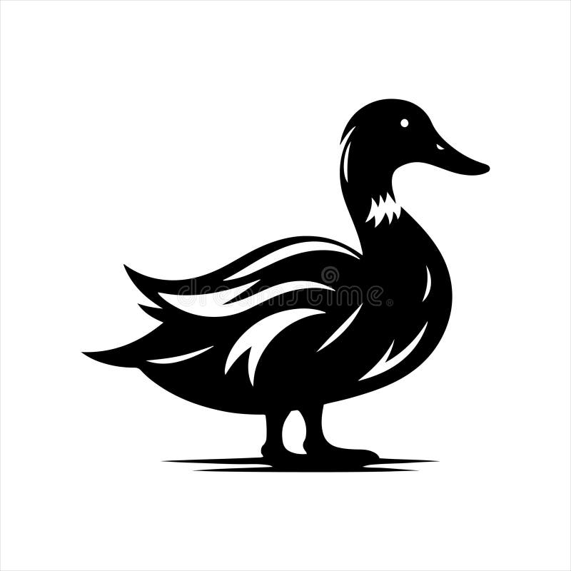 Fascinating Duck Facts stock vector. Illustration of migration 330655885