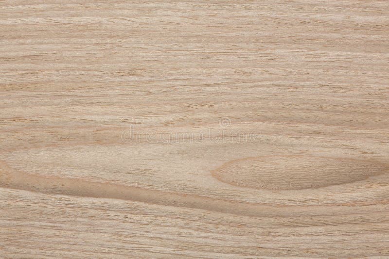 Fascinating Natural Oak Veneer Background Stock Photo Image Of