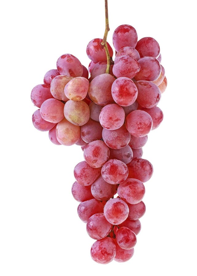 Fascio di uve fresche di colore rosso isolate su fondo bianco immagini stock