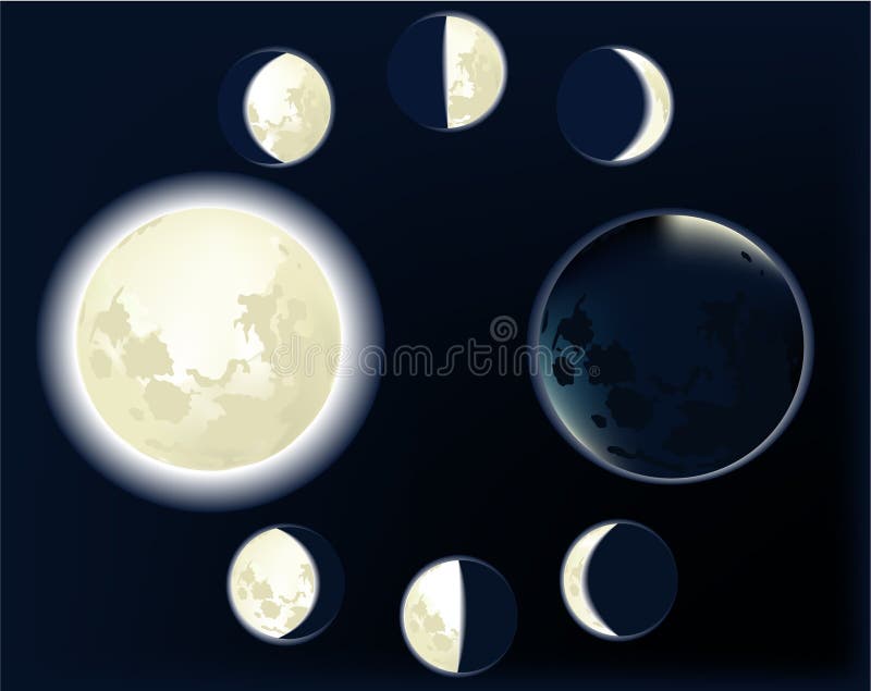 Vector illustration of moon phases. Vector illustration of moon phases.