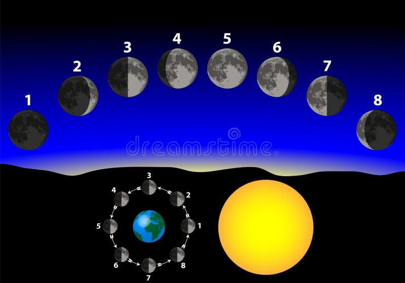 Fases da lua em relação à Terra