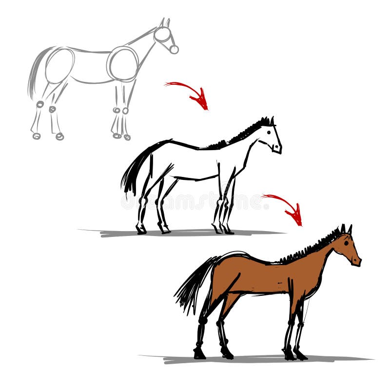 Como Desenhar Esboço Natureza Cavalo Permanente Criação Passo Passo Desenho  imagem vetorial de Nataljacernecka© 325188972