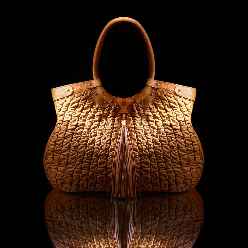 Fashion Accessory stock photo. Image of fashion, purse 14151688