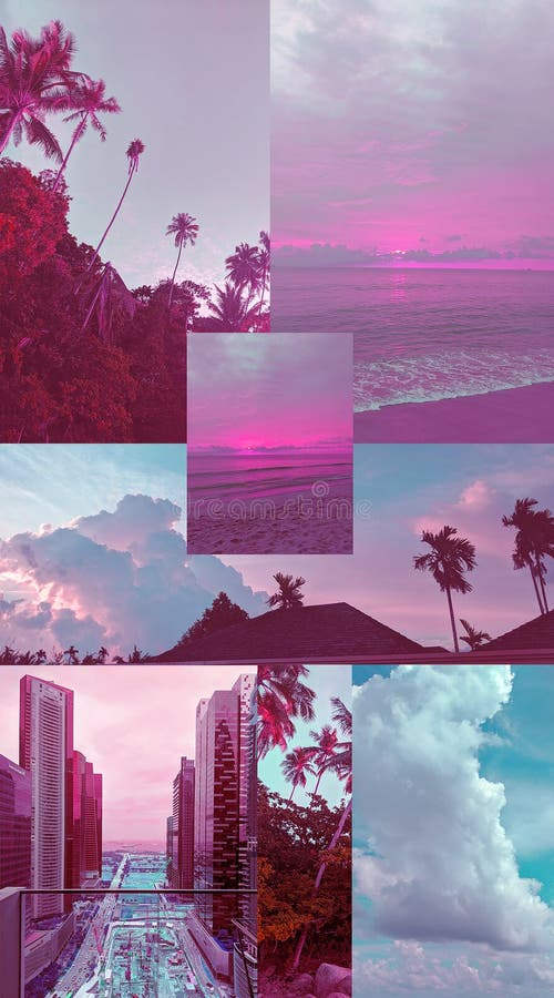 1,808 Aesthetic Vibes Stock Photos - Free & Royalty-Free Stock