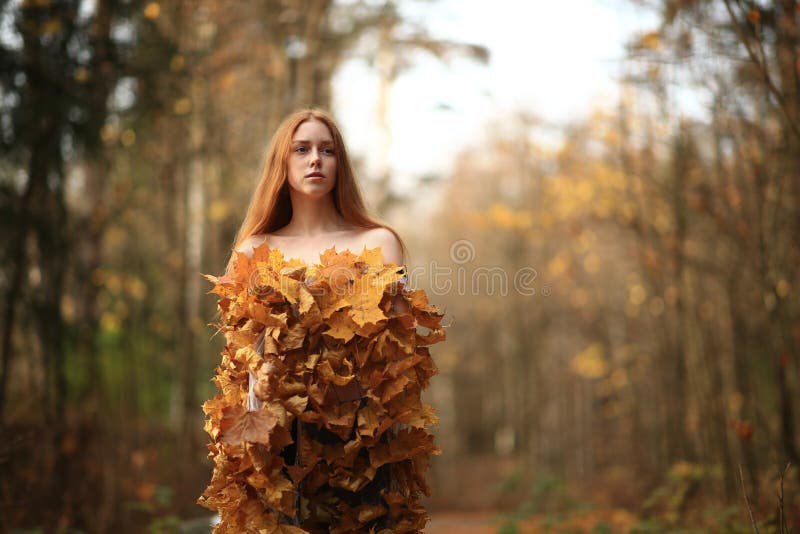 Fashion Autumn Model, Fall Leaves Dress, Beauty Girl Stock Photo ...