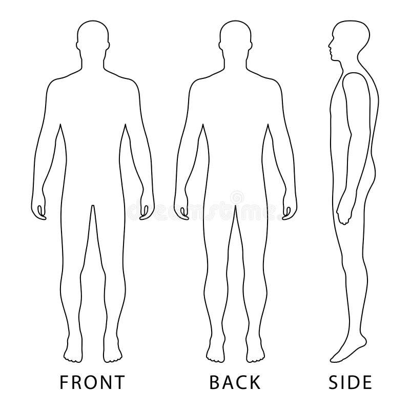 Images Of A Human Body Front And Back Clipart Female Body