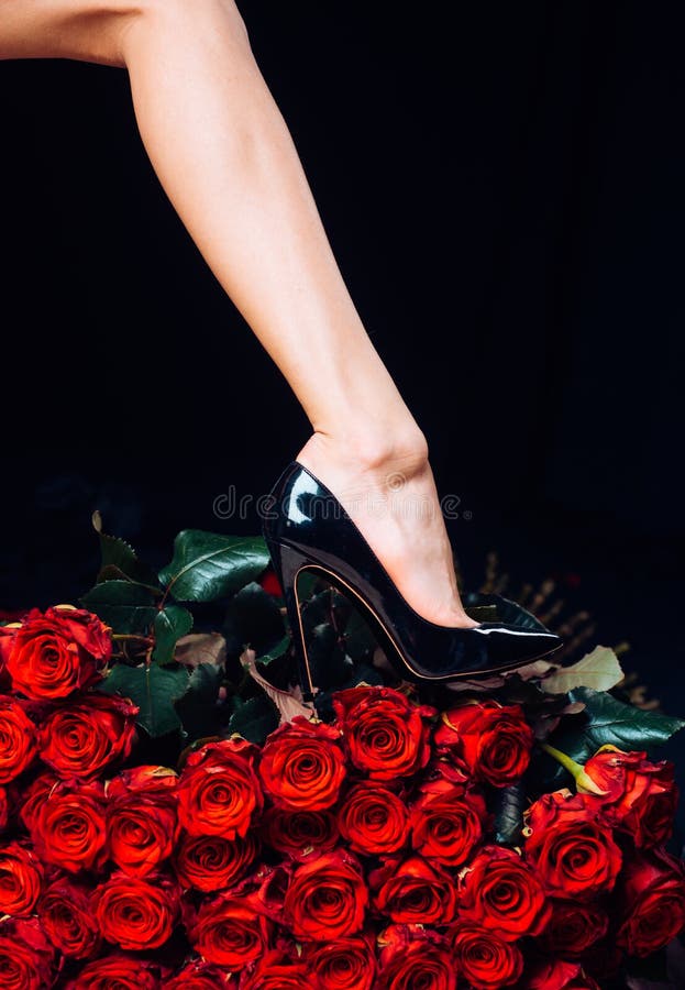 Fashion Fashion-skor Begreppet kvinnlig vuxen Kemiska ben Dominant, dominans, underkastelse, madam Legar och fotografering för bildbyråer Fashion Fashion-skor Begreppet kvinnlig vuxen Kemiska ben Dominant, dominans, underkastelse, madam Legar och fotografering för bildbyråer