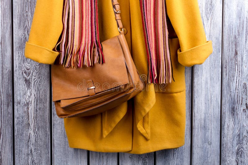 Fashionable female set of winter clothes. royalty free stock photos Fashionable female set of winter clothes. royalty free stock photos