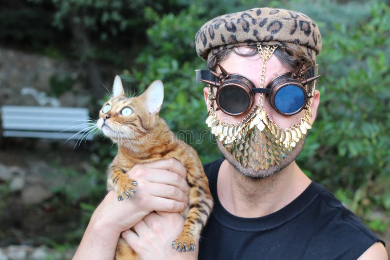 168 Golden Cat Mask Stock Photos - Free & Royalty-Free Stock