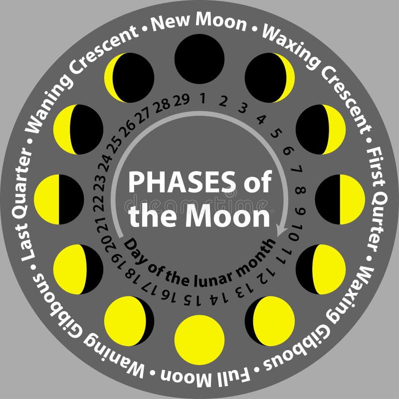 Fasi lunari in un cerchio schema illustrazione vettoriale Fasi lunari in un cerchio schema illustrazione vettoriale