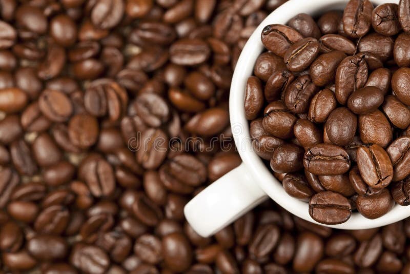 Fasoli filiżanki kawa espresso pełny piec zdjęcia royalty free