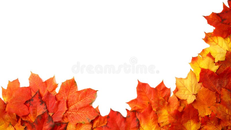 Fassen Sie Rahmen des bunten Herbstlaubs ein, der auf Weiß lokalisiert wird lizenzfreies stockbild Fassen Sie Rahmen des bunten Herbstlaubs ein, der auf Weiß lokalisiert wird lizenzfreies stockbild