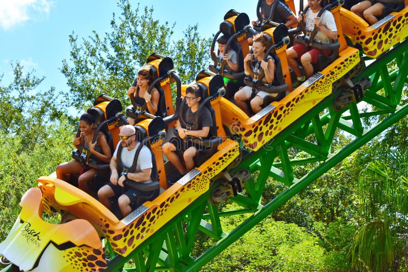 Fast And Exciting Descent In Cheetah Hunt Rollercoaster At Bush