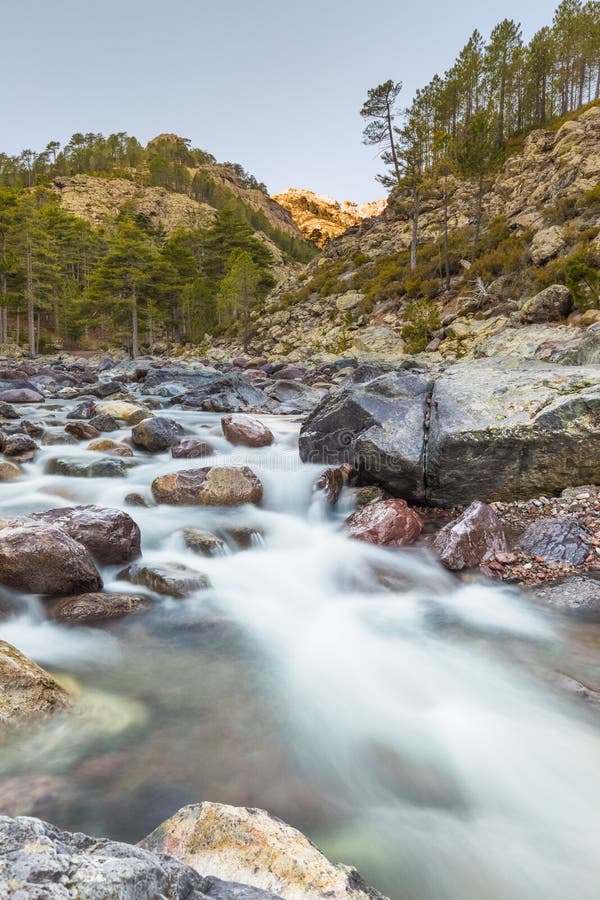 Fast flowing Asco river in Corsica