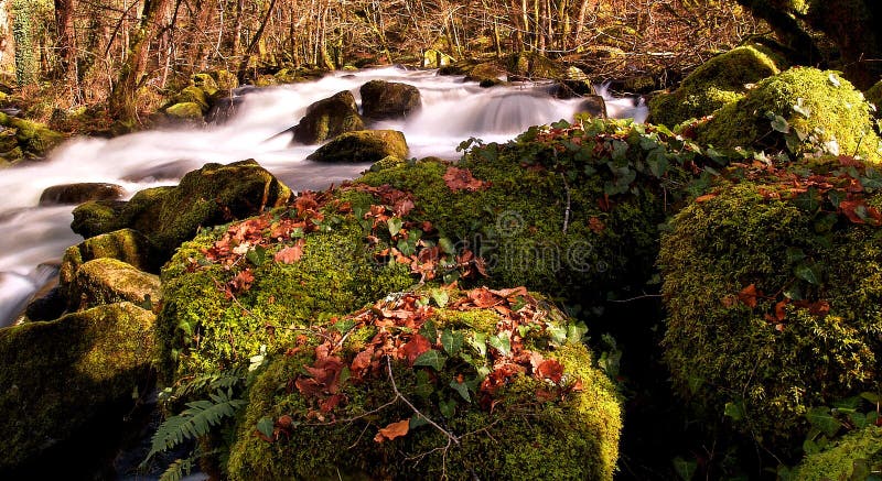 Fast flowing water in the River Correze