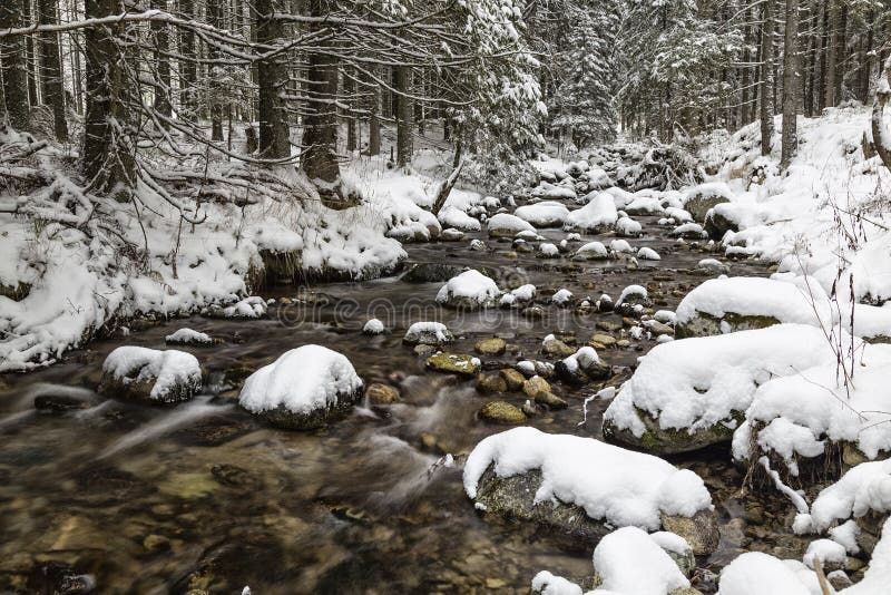 Fabulous winter forest and river under the ice.