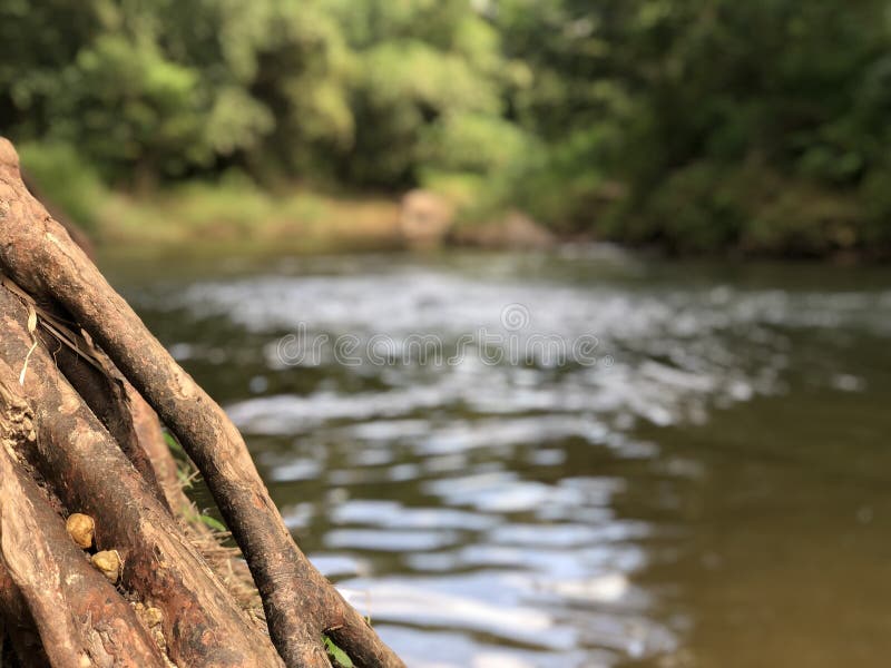 Fast running river in the jungle with beautiful stones , clear water and tropical vegetation in Thailand in Phuket royalty free stock images Fast running river in the jungle with beautiful stones , clear water and tropical vegetation in Thailand in Phuket royalty free stock images