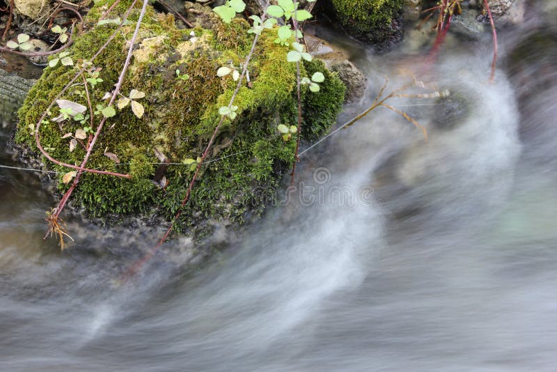 Fast Running Stream stock image Fast Running Stream stock image