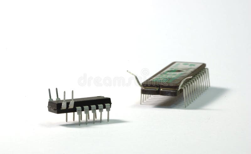 580 Chip Bug Stock Photos - Free & Royalty-Free Stock Photos from Dreamstime