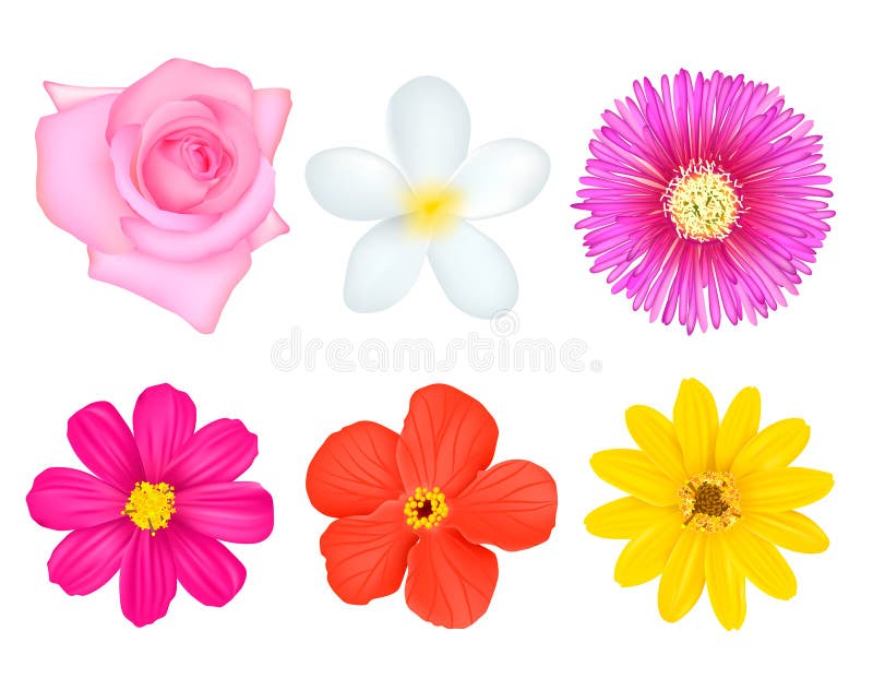Fastställda färgrika blommor vektor illustrationer Fastställda färgrika blommor vektor illustrationer